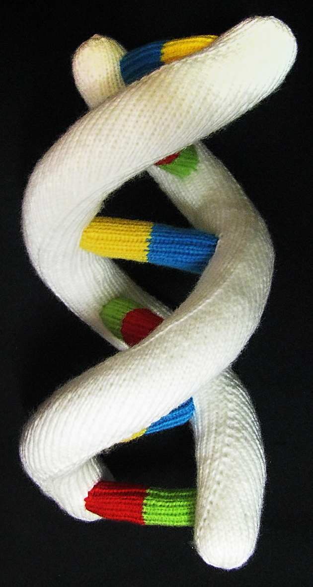 Free Knitting Pattern for Baby's First DNA Model