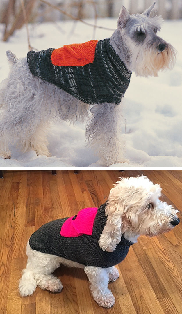 Free Knitting Pattern for Dog Coat With Cargo Pocket