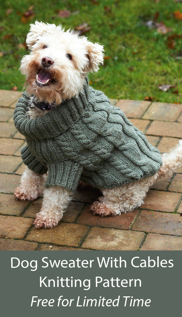 Free Dog Sweater Knitting Pattern Dog Jumper With Cables