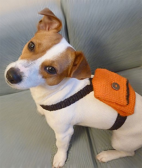 Knitting Pattern for Dog Backpack