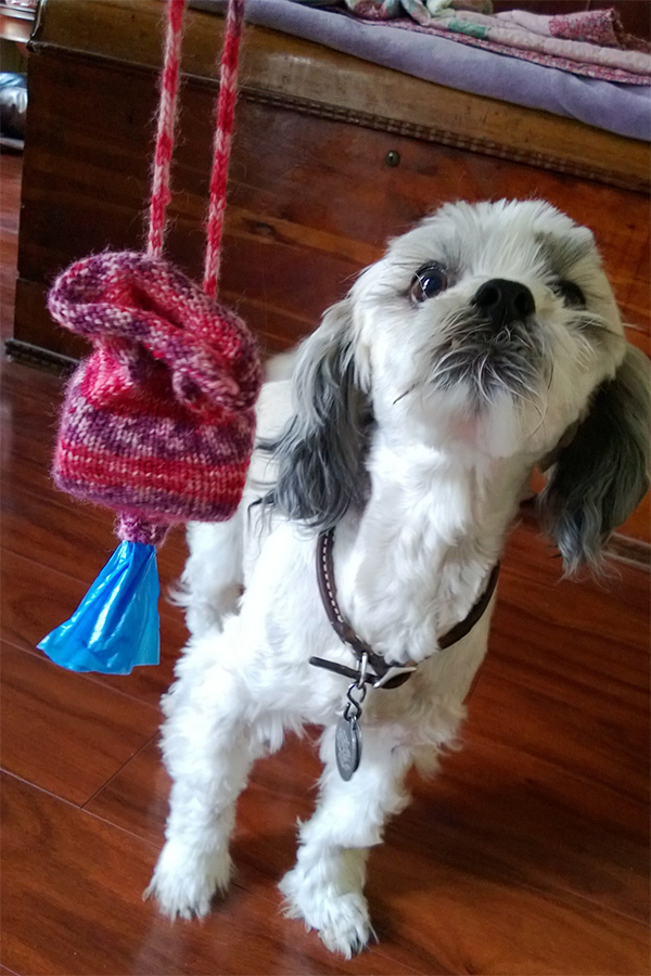 Free Knitting Pattern for Doggie Poo Bag Pouch