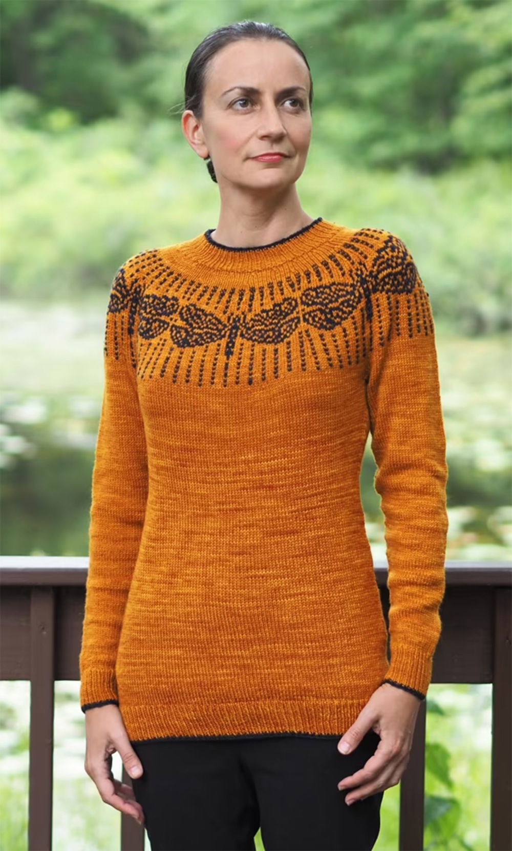 Knitting pattern for Dragonfly Dragonflies in Amber Sweater
