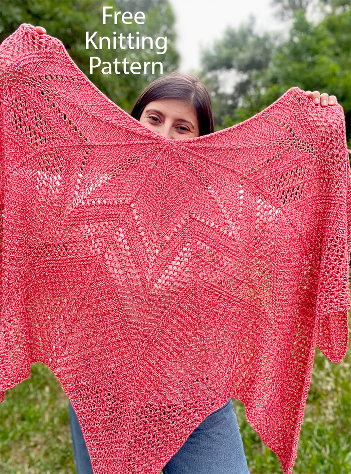 Free Shawl Knitting Pattern Estrela Shawl 