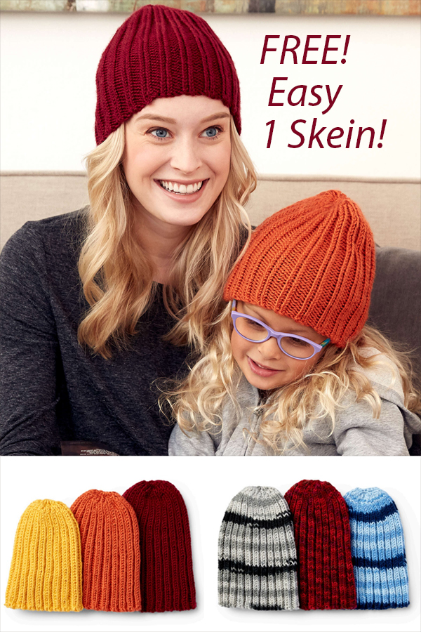 Free One Skein Hat Knitting Pattern Everybody Family Hat
