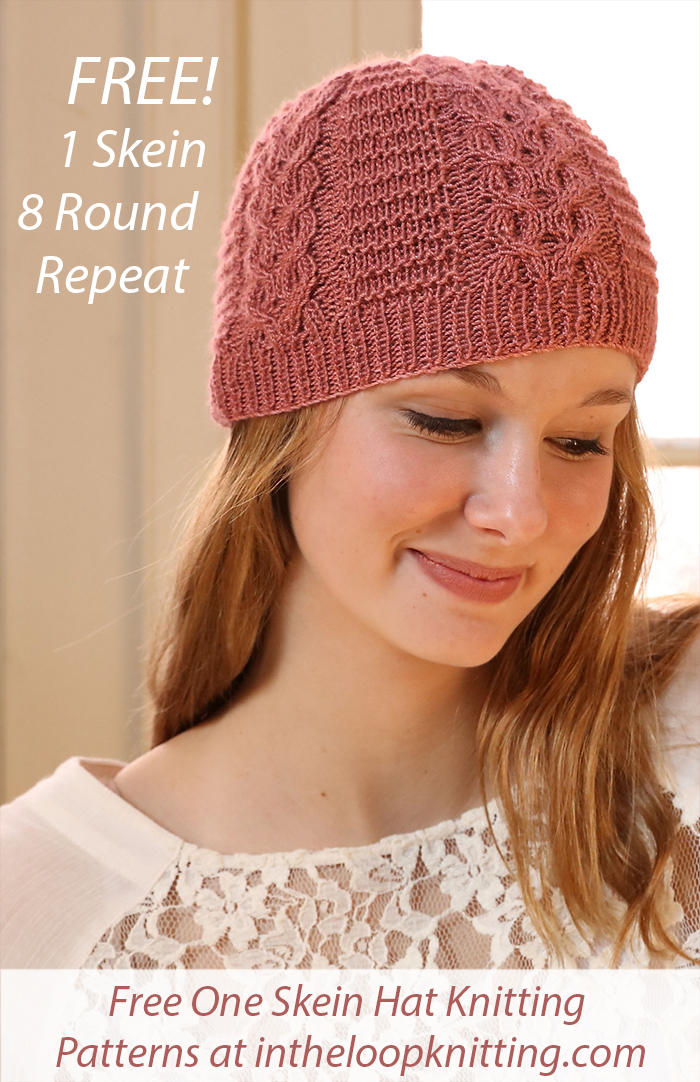 Free One Skein Hat Knitting Pattern F782 Cabled Hat