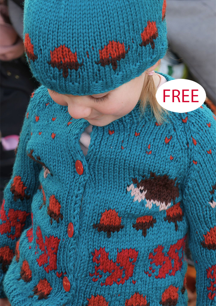 Colorblock Pullover And Hat Knitting Pattern Set