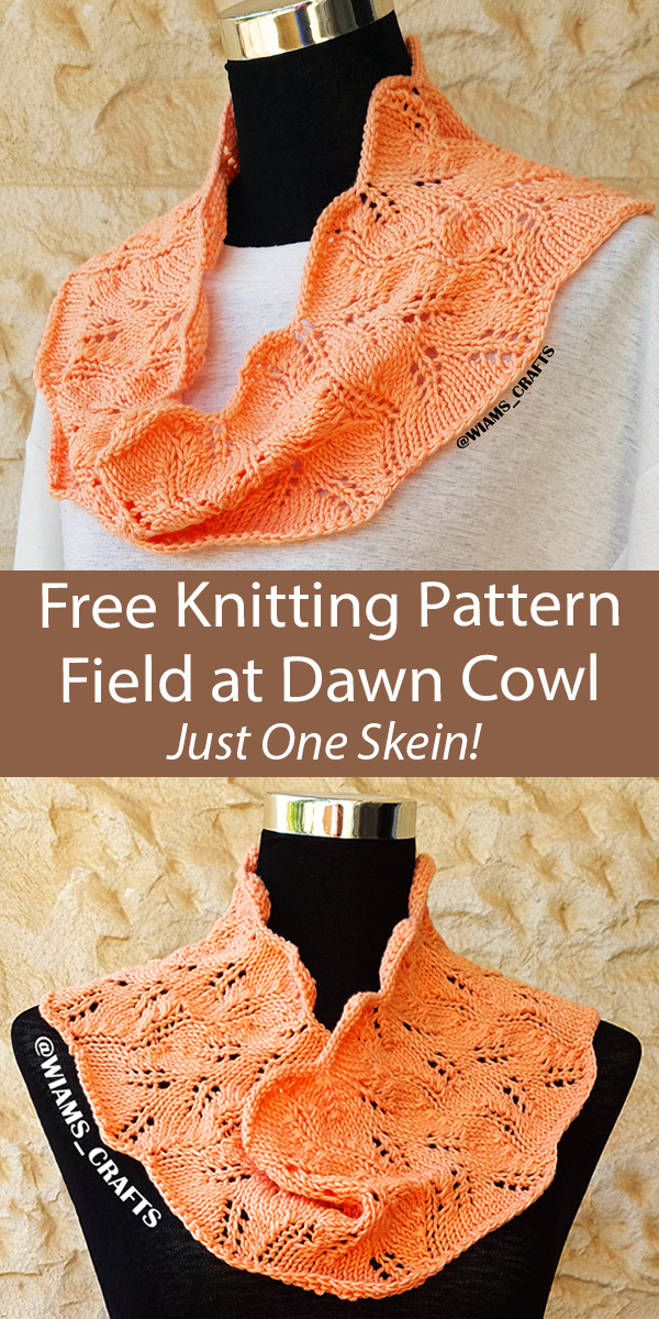 Free Cowl Knitting Pattern Field at Dawn Cowl