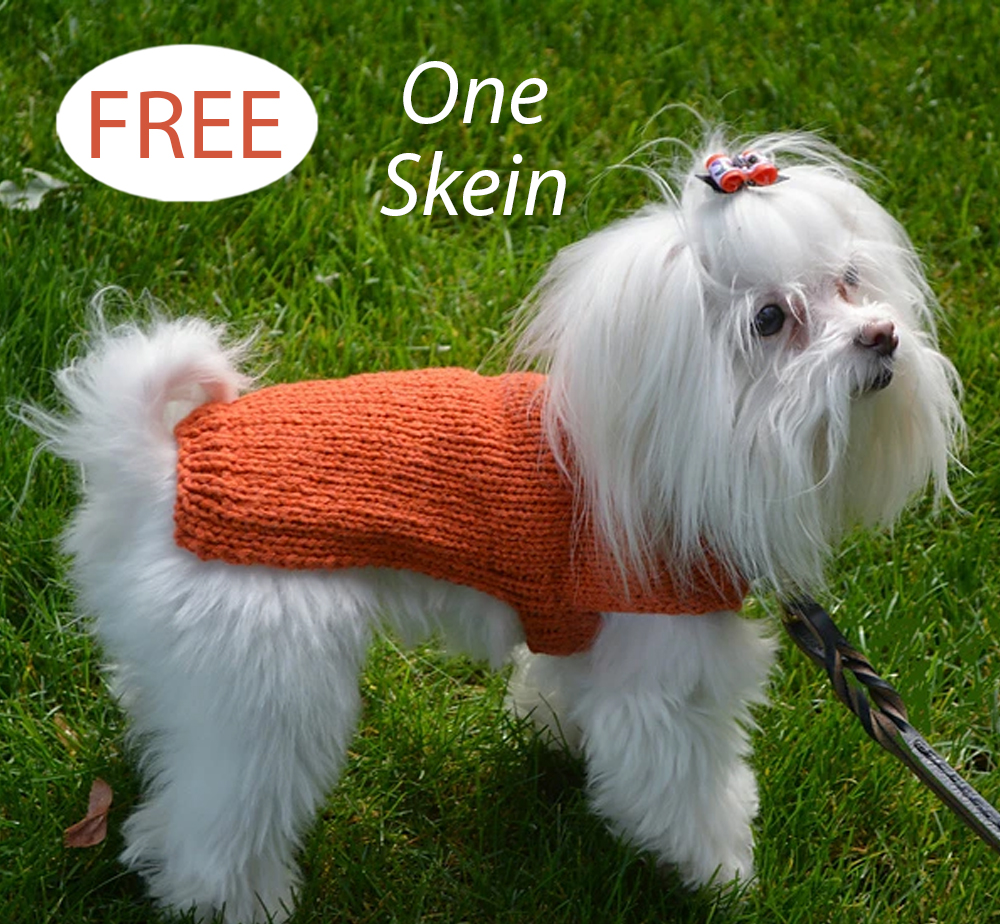 Free Finish Free Dog Sweater Knitting Pattern