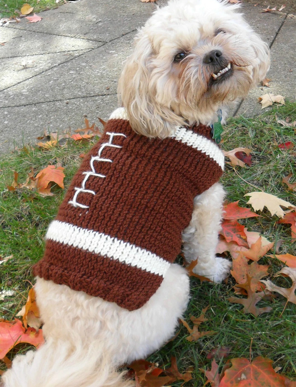 Football Dog Sweater Knitting Pattern