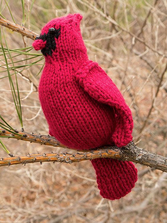 Free knitting pattern for Cardinal