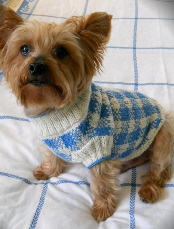 dog sweater patterns