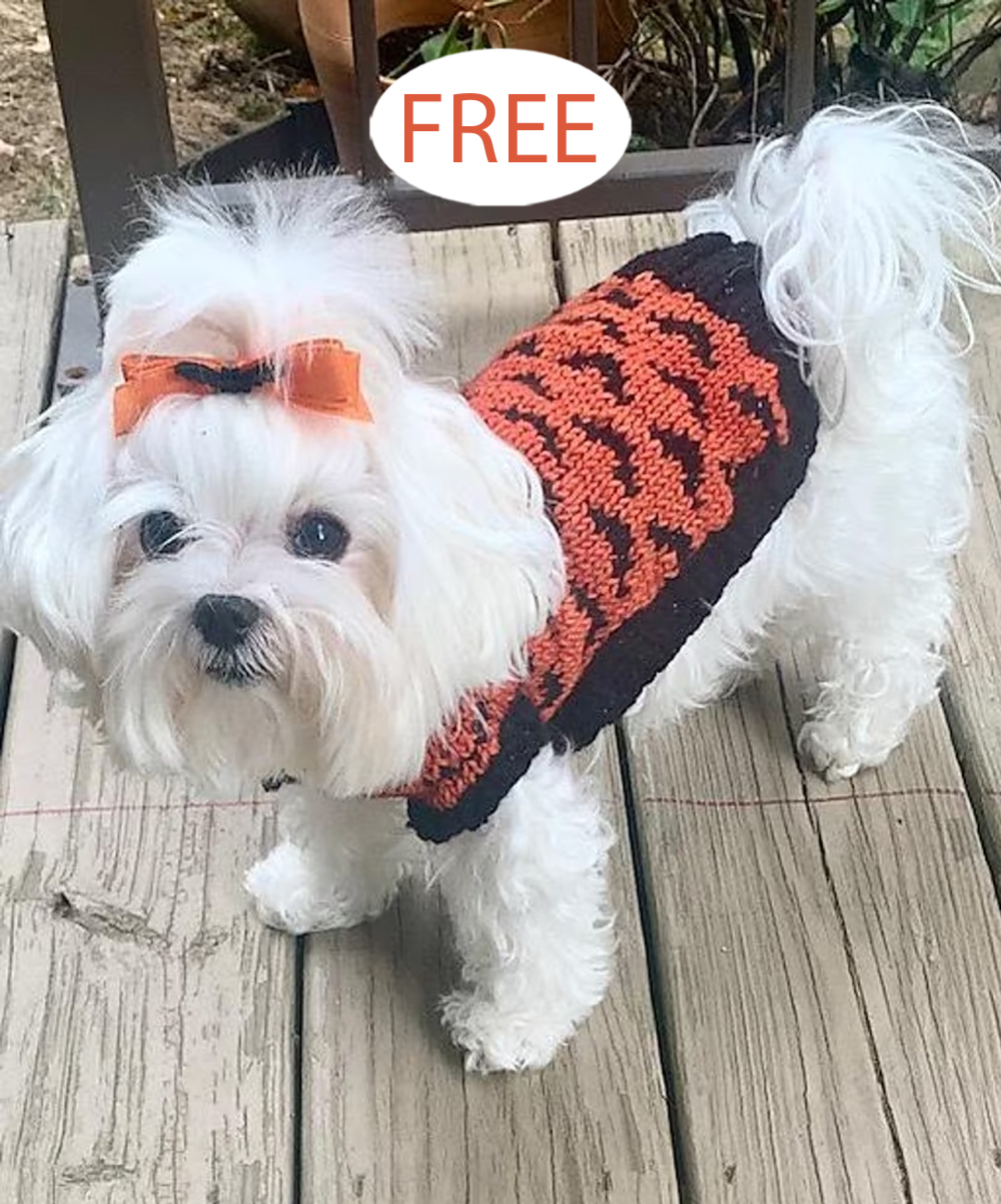 Free Going Batty Dog Sweater Halloween Knitting Pattern