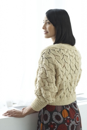 Golden Honey Shrug Free Knitting Pattern | Knitting Patterns for Shrugs and Boleros, many free patterns at http://intheloopknitting.com/free-shrug-bolero-knitting-patterns/