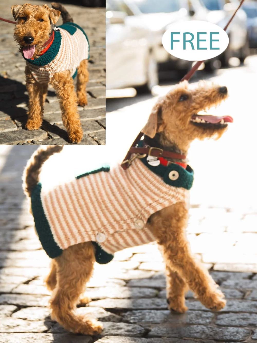 Free Good Dog Sweater Knitting Pattern