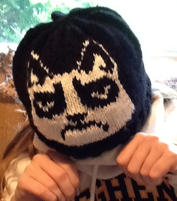 Free Knitting Pattern for Grumpy Cat Chart and Hat