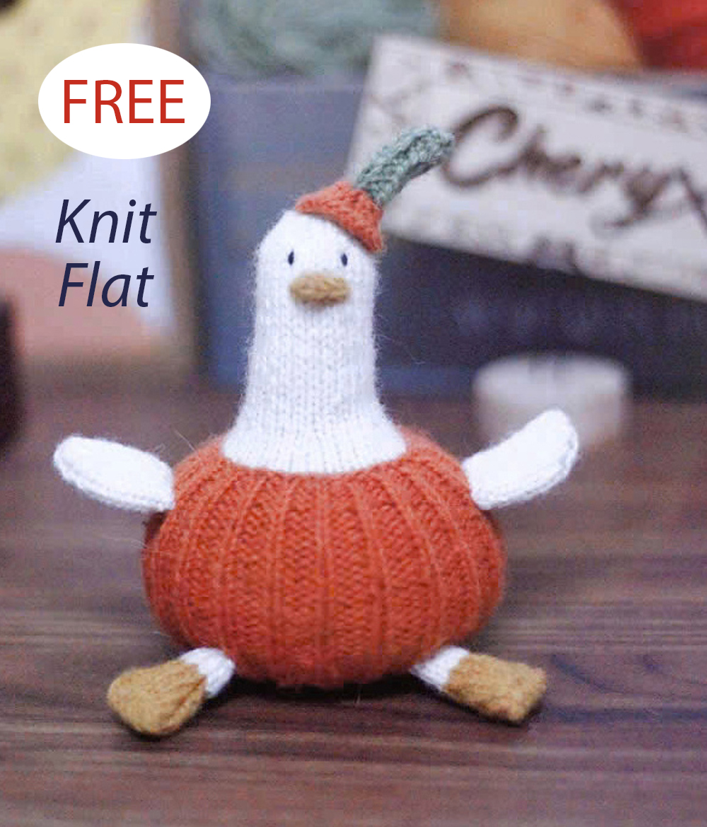 Free Halloween Pumpkin Duck Knitting Pattern