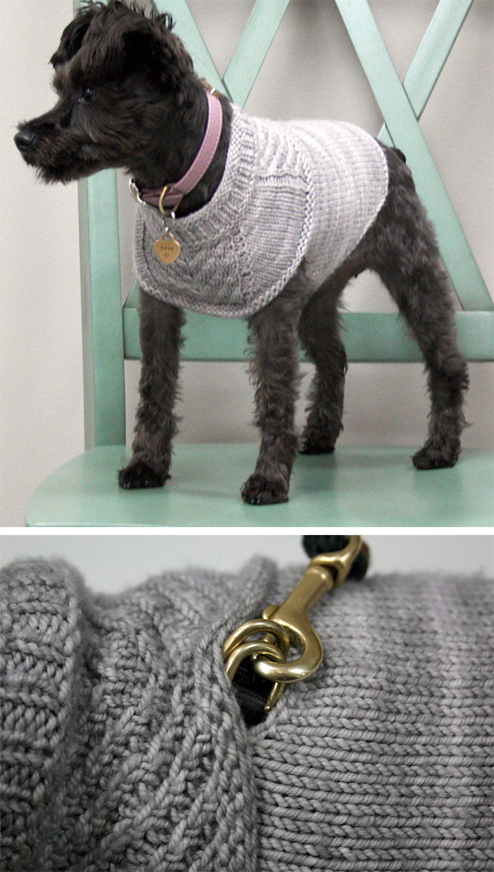 knitting a dog sweater for beginners