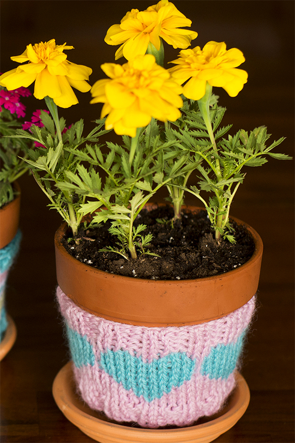 Free Knitting Pattern for Heart Flower Pot Cozy