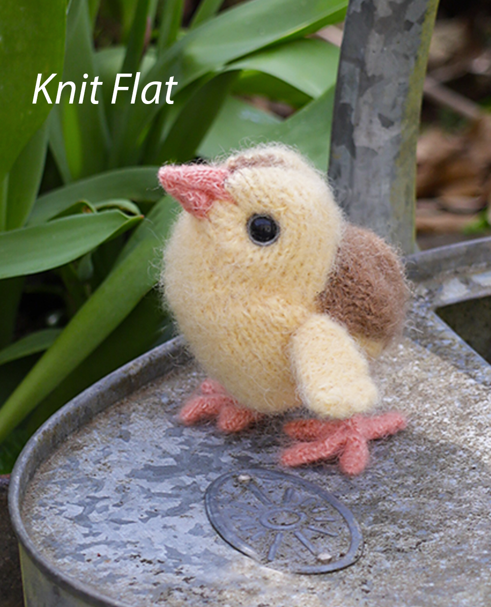 Free Hen Chick Chickens Knitting Pattern