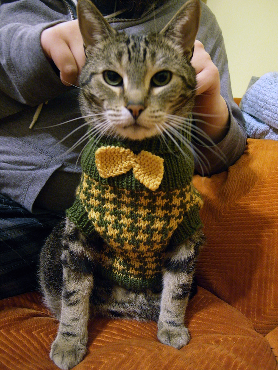 Free Knitting Pattern for Houndstooth Hound Sweater