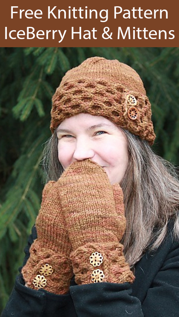 Free Knitting Pattern for IceBerry Hat and Mittens