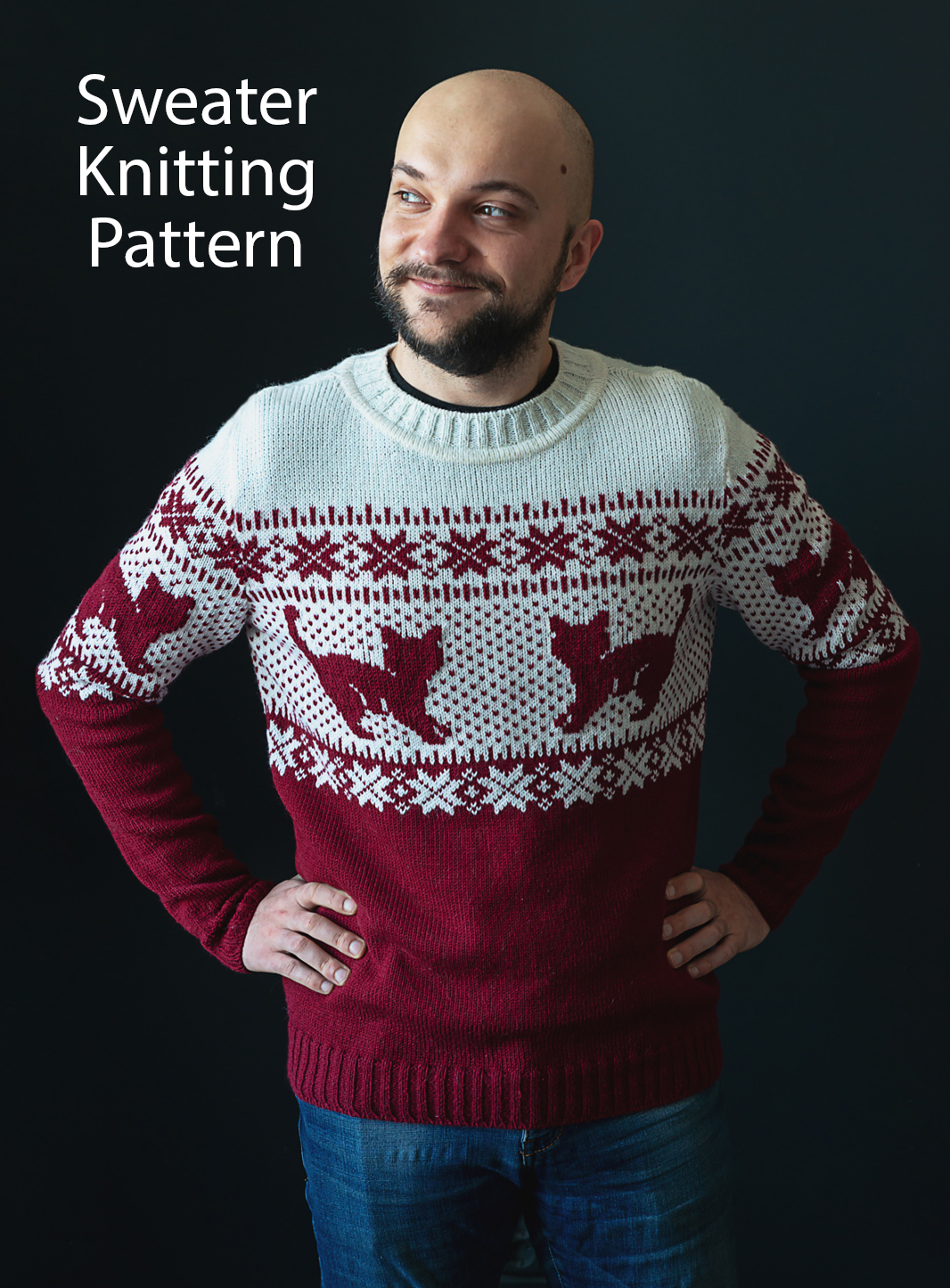 Free Sweater With Cats Knitting Pattern