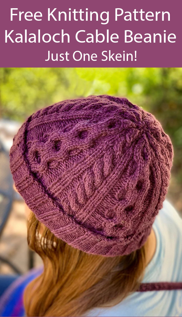 Free Knitting Pattern for 1 Skein Kalaloch Cable Beanie Hat