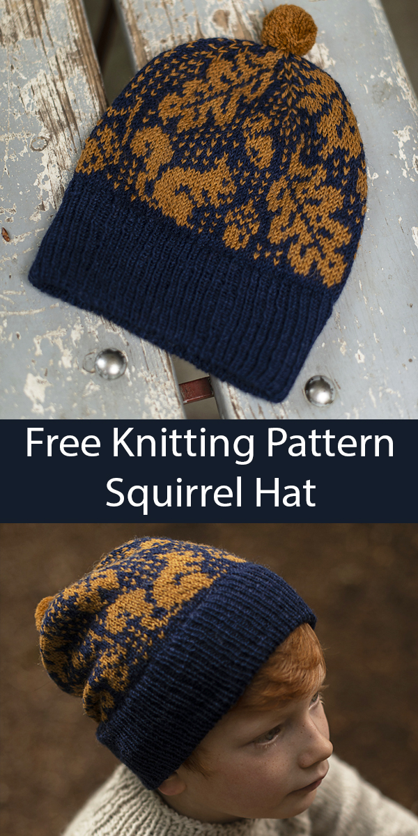 Free Squirrel Hat Knitting Pattern Kurre