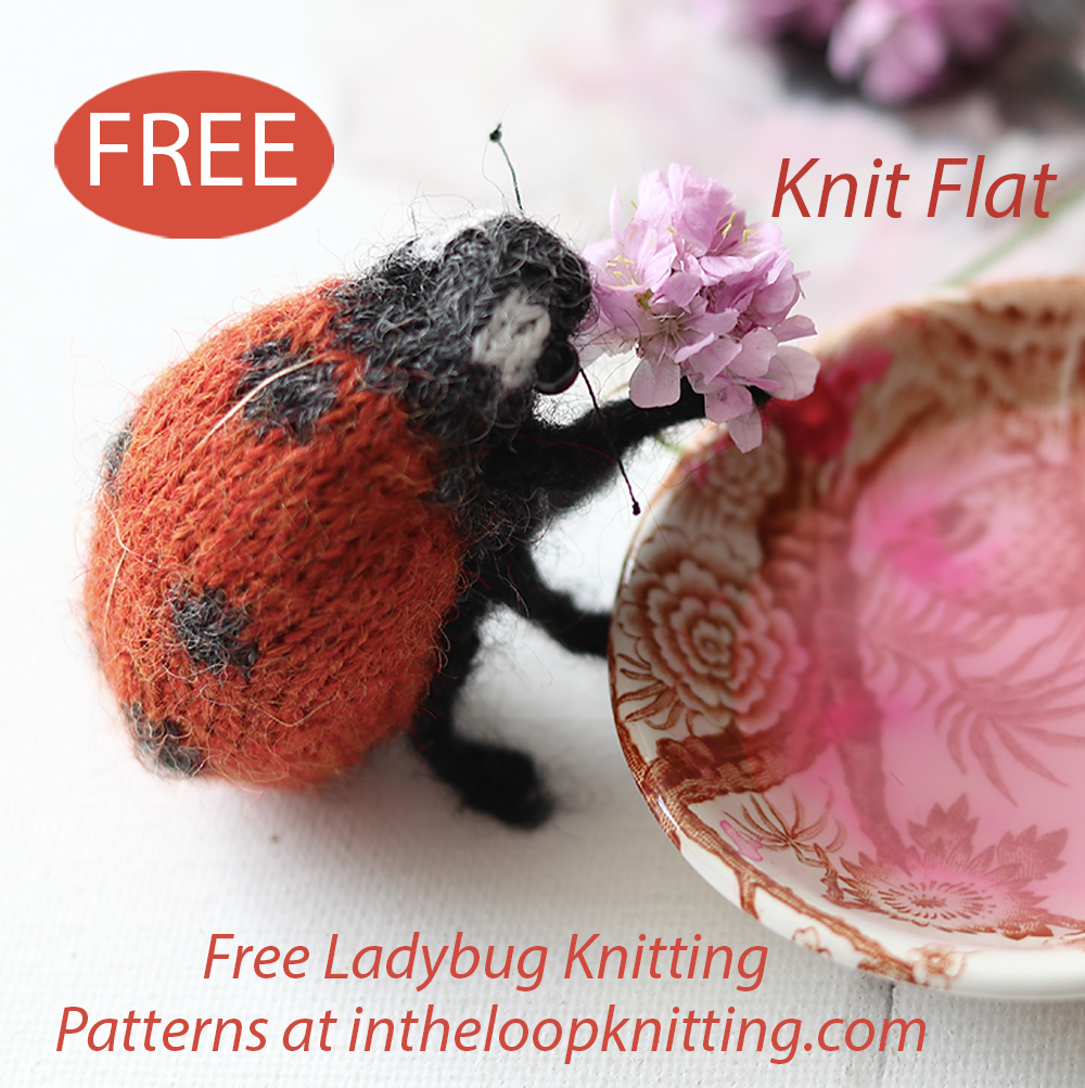 Free Ladybird Ladybug Knitting Pattern