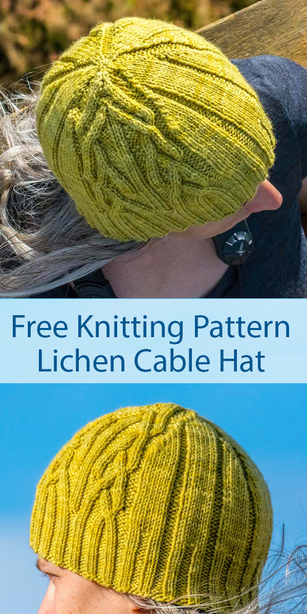 Free Knitting Pattern for Lichen Hat