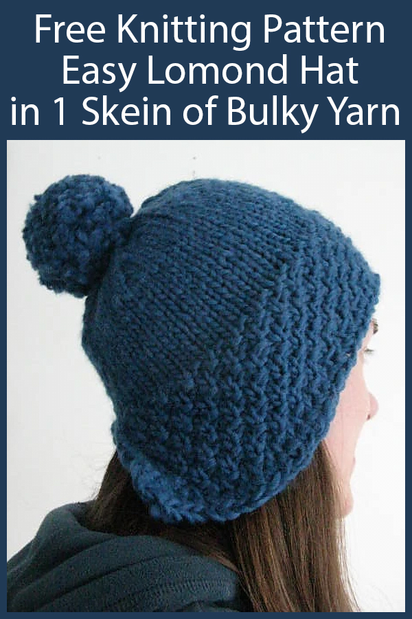 Free Knitting Pattern for Easy 1 Skein Lomond Hat