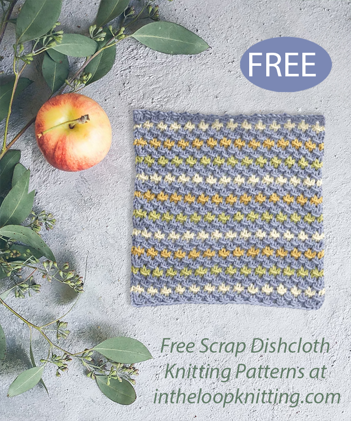 Free Long Beach Washcloth Knitting Pattern Scrap Yarn