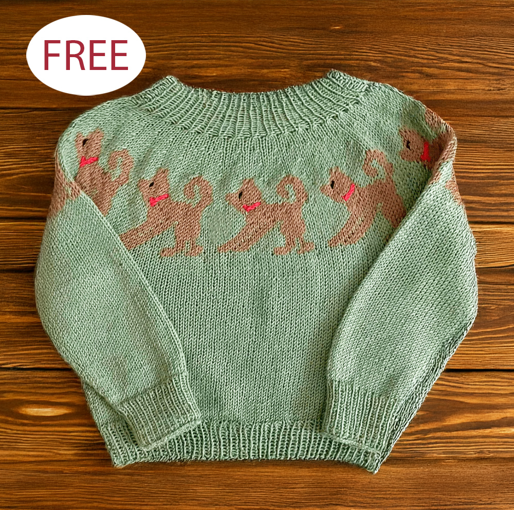 Free Children's Sweater With Puppies Knitting Pattern Bear Pocket Raglan Sweater