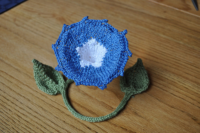 Morning Glory Free Flower Knitting Pattern by Lesley Stanfield | Flower Knitting Patterns, many free patterns at http://intheloopknitting.com/free-flower-knitting-patterns/