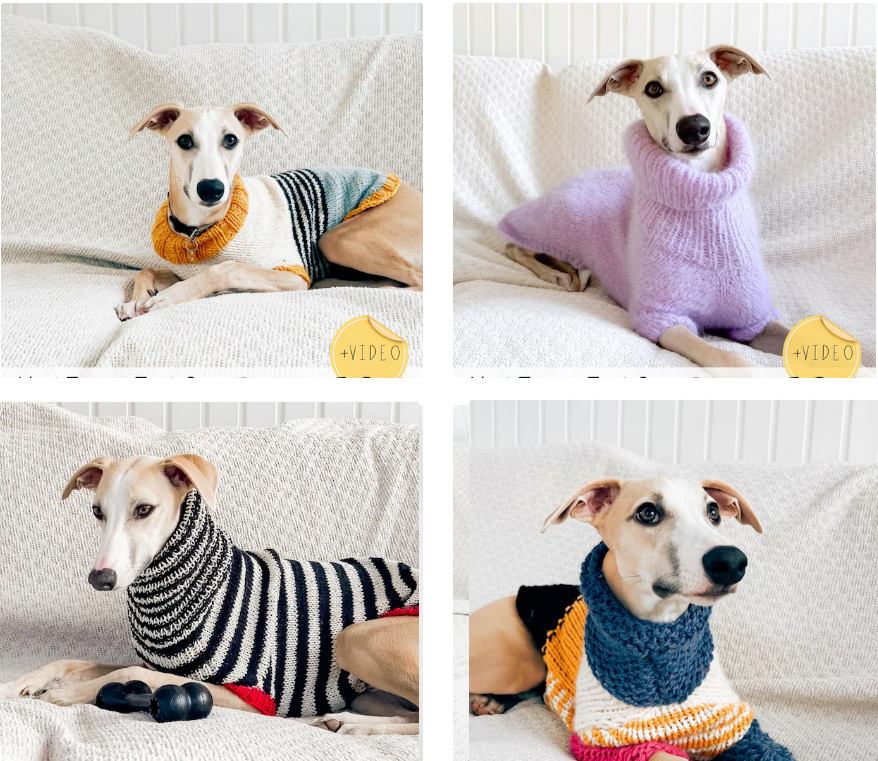 Fun Dog Sweaters  Knitting Pattern