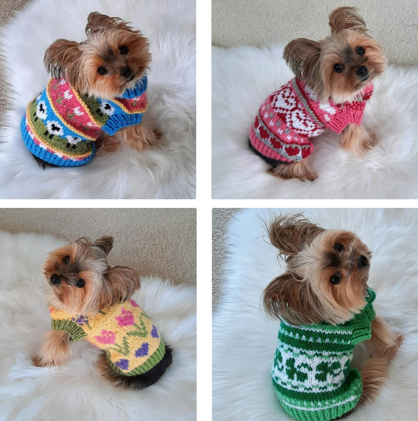 Fun Dog Sweaters  Knitting Pattern