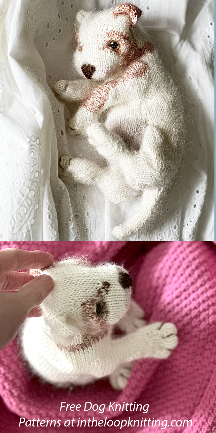 Free New Born Puppy Knitting Pattern