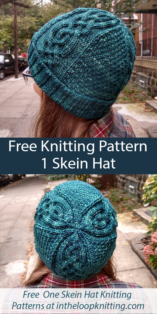 Free One Skein Hat Knitting Pattern Norway Pine Hat