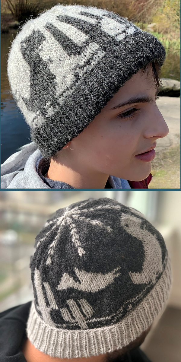 Free Knitting Pattern for Dinosaurs Hat