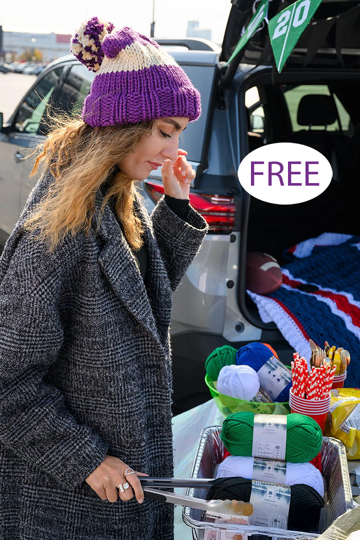 On Campus Hat  Free Knitting Pattern