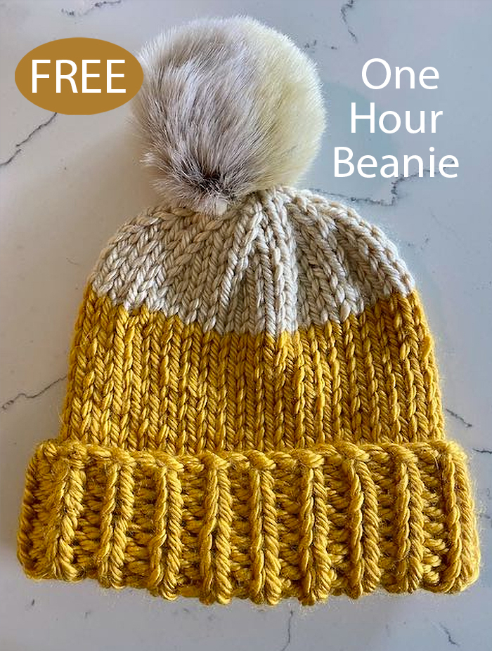 Free One Hour Beanie Hat Knitting Pattern