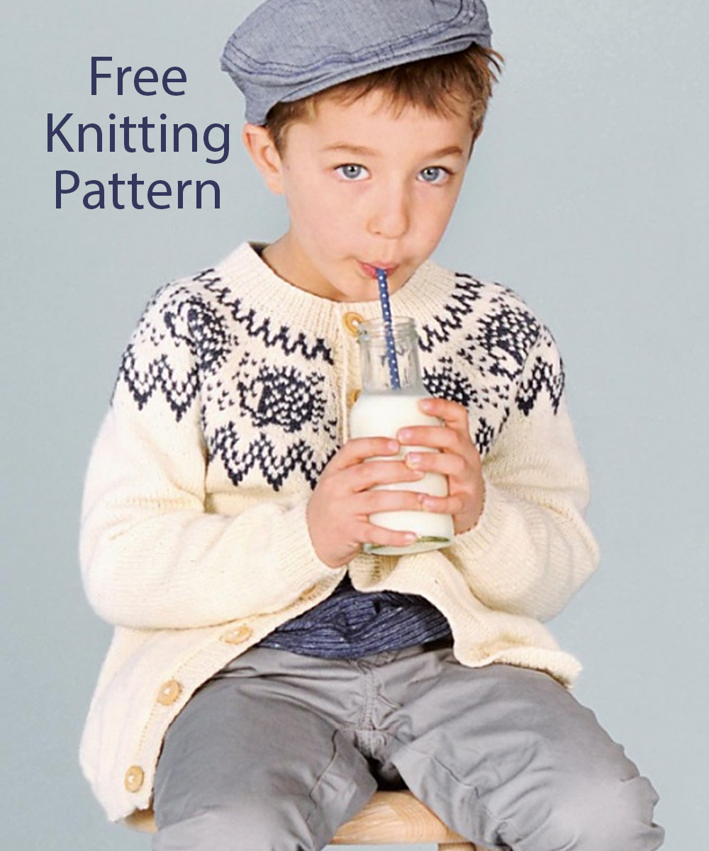 Free Knitting Pattern Hedgehog Cardigan