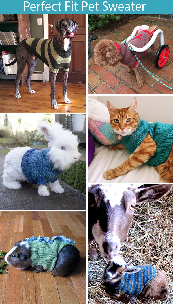 Knitting Pattern for Perfect Fit Pet Sweater