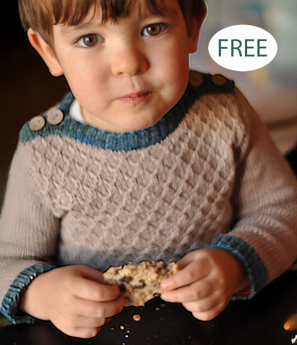 Free Little Bear Knitting Pattern Sweater