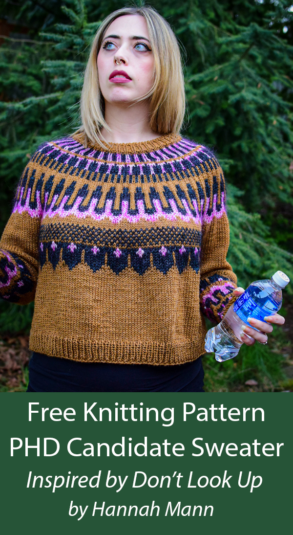 Don’t Look Up Sweater Free Knitting Pattern