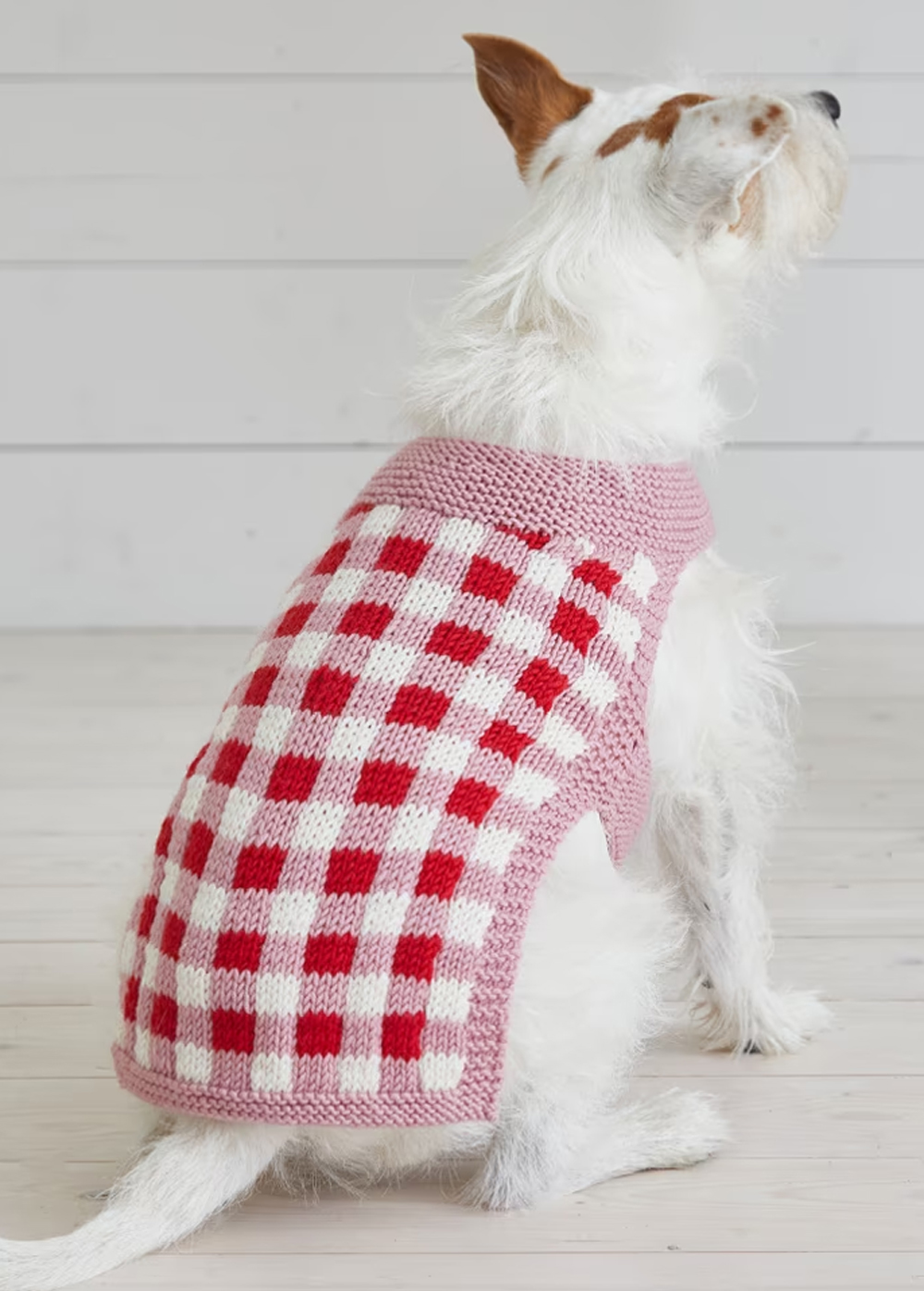 Picnic Pooch Dog Coat  Knitting Pattern