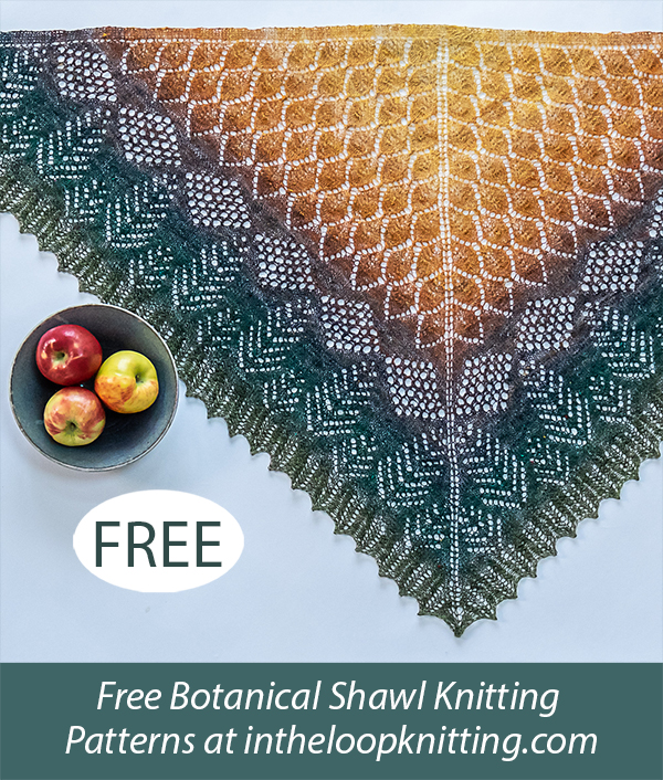 Free Porcupine Island Shawl Knitting Pattern 