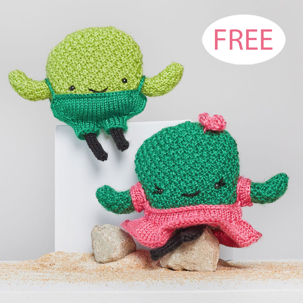 Prickles and Pear Cactus Knitting Pattern