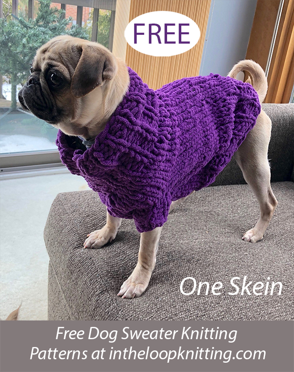 Free Small Dog Sweater Sweater Knitting Pattern