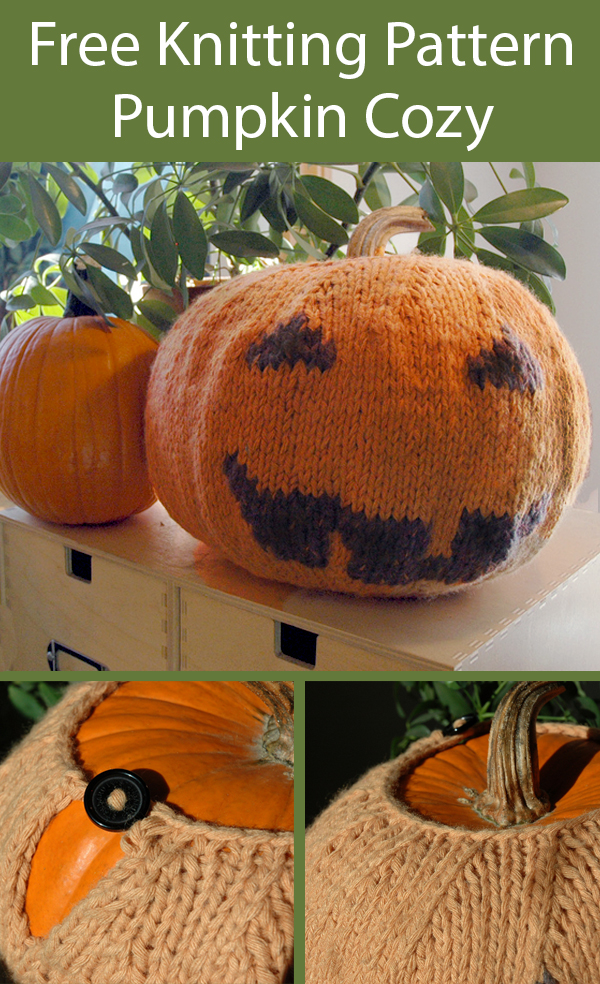 Free Knitting Pattern for Pumpkin Cozy